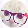m.zaid245