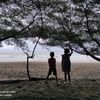 aditya.himawan6