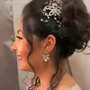 kazaldaestrada