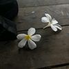 fayfai_fa