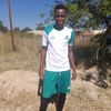 crocodile2768