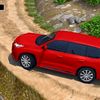 usman.ghani8540