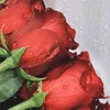 taqana.0111