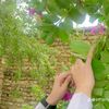 rana0474