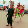 munwar.ali.sathio