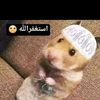 hskrkckhsy4
