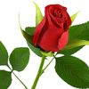 md.nojrul.islam98