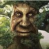 tree_133