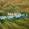 user6211909314375