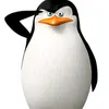 penguin_lover63