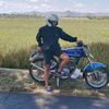 cbbiru202
