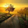 user1976628126030