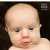 divertisment.funn