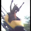 stophorsingaroundrn