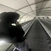 chilingpeep