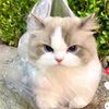 rawda.ibrahim77