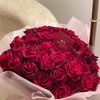 saraali_dz