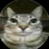 miguel_mmaorps