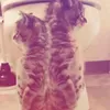 hayat_bayat23