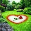 user76129567068764