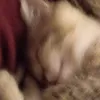 boris_lov443