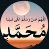 user4800261307506