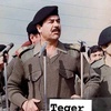 saddam.hussein2134