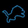 Detroit Lions