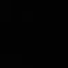 wpo333.1