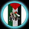 mdjamshed4366