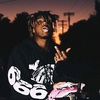 landynscott0