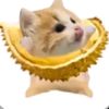 user6825814030329