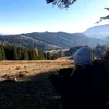 ot_ylia