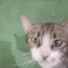 sussybaker39