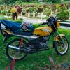 lie74508