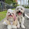 IG: lunaandcallix_