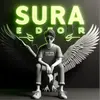 sura_editor28