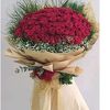 olya62029