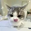 Lorszx~