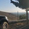 baseel.hamideh