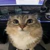 userxzkakoi656