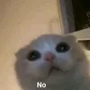angelismee