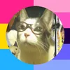 cat_vasya73