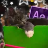 julsmp4