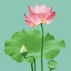 www.dung8686
