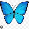 roseli.aparecida316