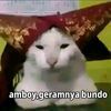 sshallh