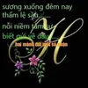 tuantran4463