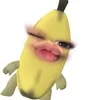 vyjuoii_ctee