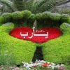 umarabbud